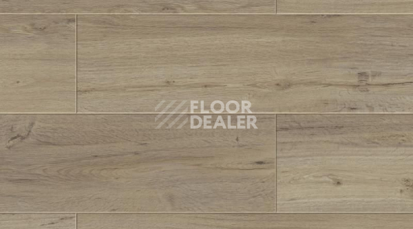 Кварцвиниловые полы Gerflor Creation 70 0556 Clifton фото 1 | FLOORDEALER